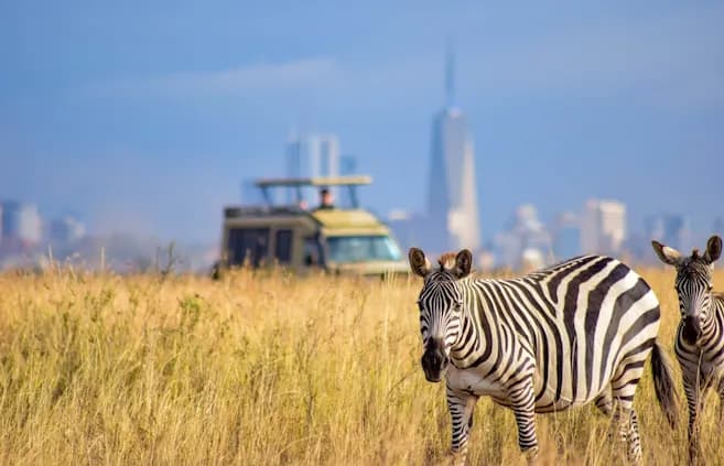 Meru National Park