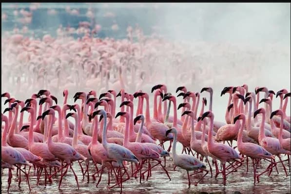 Kenya safaris slideshow 2