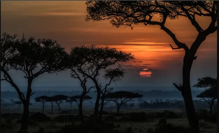 Kenya safaris slideshow 1